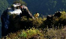 关于命运的作文：马的命运_1200字