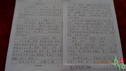 照片上的组成：照片中的幸福_450字