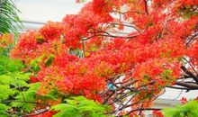 月辉清泉_1200字