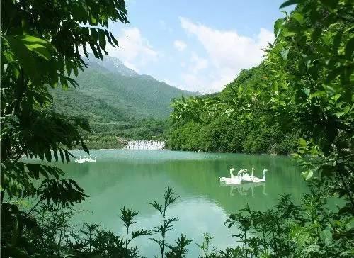迷人的九寨沟_700字