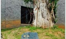 今上岳阳楼_600字