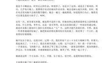 什么，叫做无耻_250字