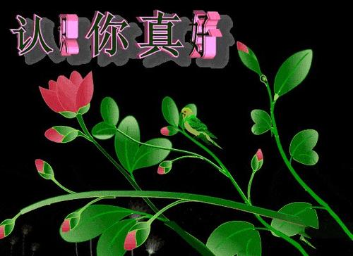 了解鲜花_550字