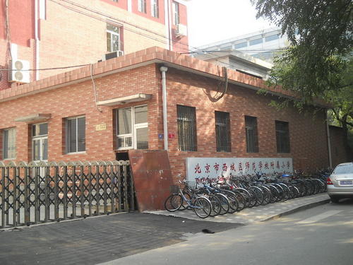 十年的学校，学校十年_650字