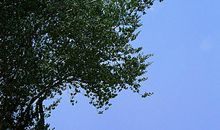 美丽的海南_400字