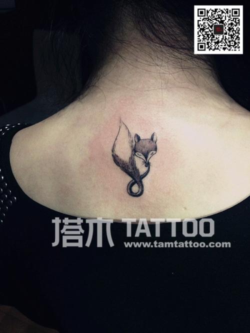 小狐狸智慧_1000字