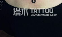 小狐狸的智慧_1000字