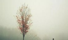 有一种生活状态，叫做安详_750字