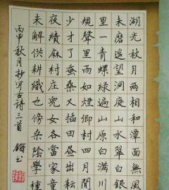 震惊（南山区第一阶段考试项目）_500字