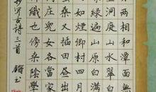 震撼(南山区初一期末考试作文题)_500字