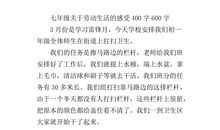 温暖（7）_600字