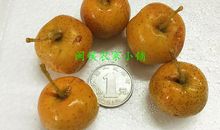 浸泡过的陈山楂_500字