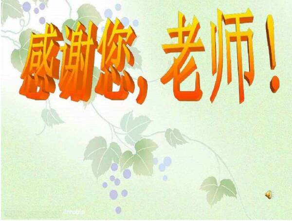 [PK Tour]教师节的组成：我平原的好老师 - 老师Zhao _800字