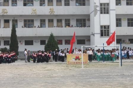小学生的组成_400字