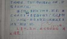 关于自己的作文：我的小动物_700字