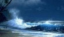 美丽的大海_650字