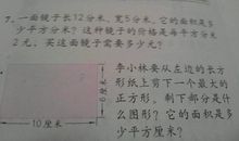 关于自己的作文：我的玩具_800字