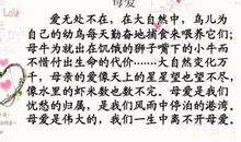 关于自己的作文：我的玩具_650字