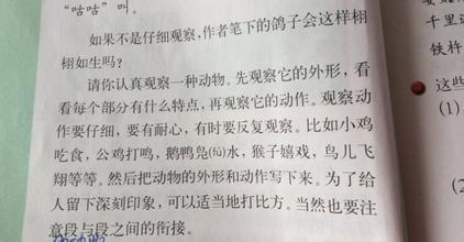 关于你自己的作文：我的小动物_500字