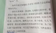 关于自己的作文：我的小动物_500字