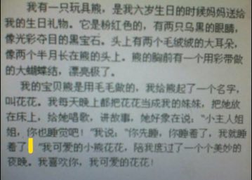 关于你自己的作品：我的玩具_700字