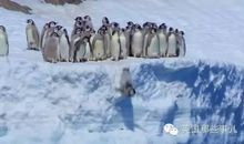 生命的轮回_750字