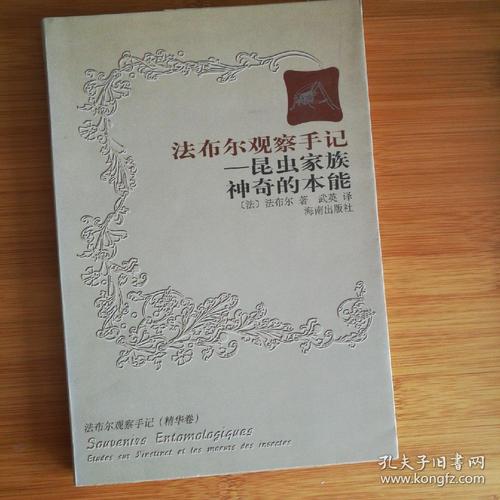 实例_1200字