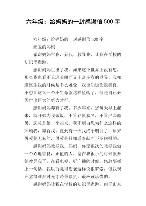 给我母亲的礼物_500字