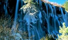 人，总要仰望着什么_550字