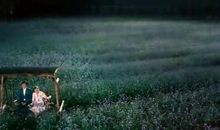 不经风雨怎见彩虹_650字