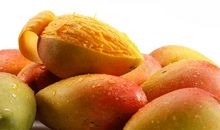 生活需要挑战_700字