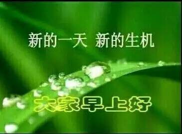 珍惜 - 最好的丢失_1500字