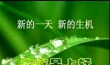 珍惜——最好的怀念_1500字