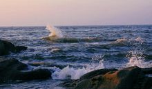 石头的故事_500字