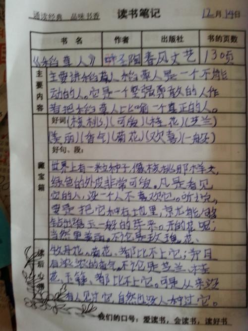 _800你认为的单词