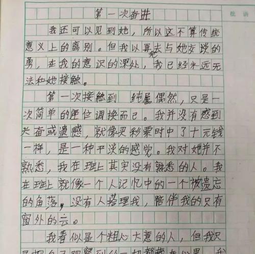 体验的组成：初始经验_450字