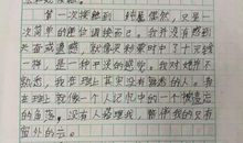 关于体验的作文：初次体验_450字