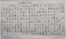 关于体验的作文：快乐体验_450字