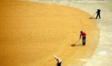 60周年大事记之2000-2009：农业税条例废止