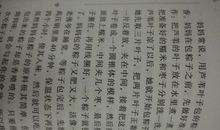 端午节的习俗_2000字