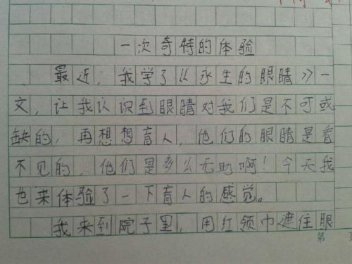 体验的组成：制定体验活动_300字