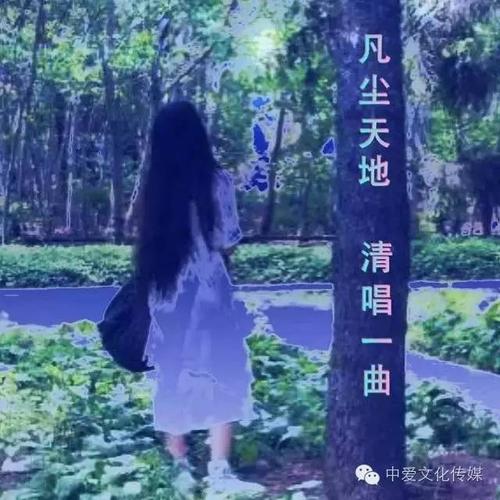 尘清清_1500字