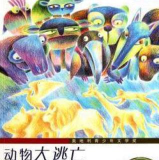 动物逃离了_1000字