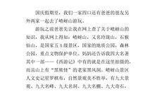 初一说明文：灯_500字