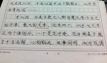 关于体验的作文：体验喝酒_450字