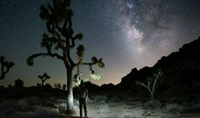 夏夜的东石港_450字