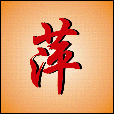 公共网络语言_450字