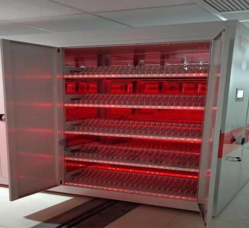 让这个时代的尴尬_550字