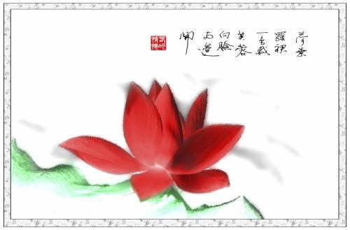 莲花的构图：莲花的美丽_350字