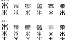 我们长大了——观照片展_900字
